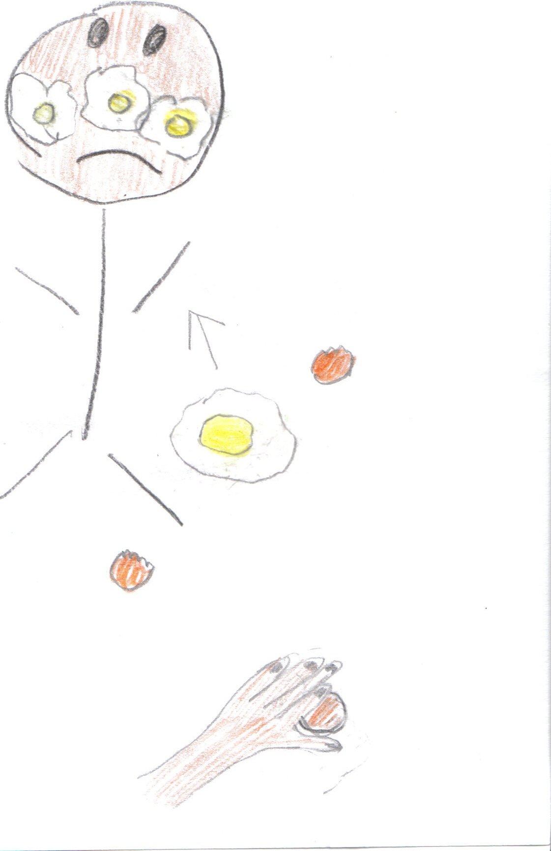 44