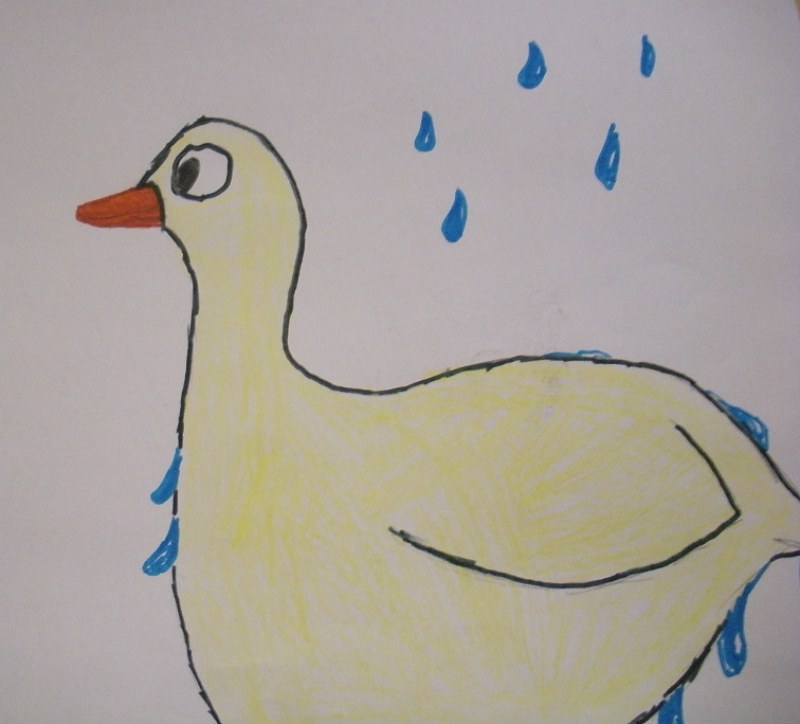 Water off a duck back.jpg