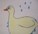 Water off a duck back.jpg